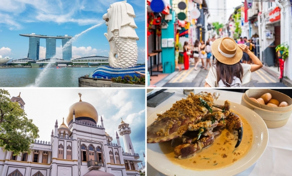 クリーミークラブの昼食+市内観光　チャイナタウン・アラブストリート散策付き